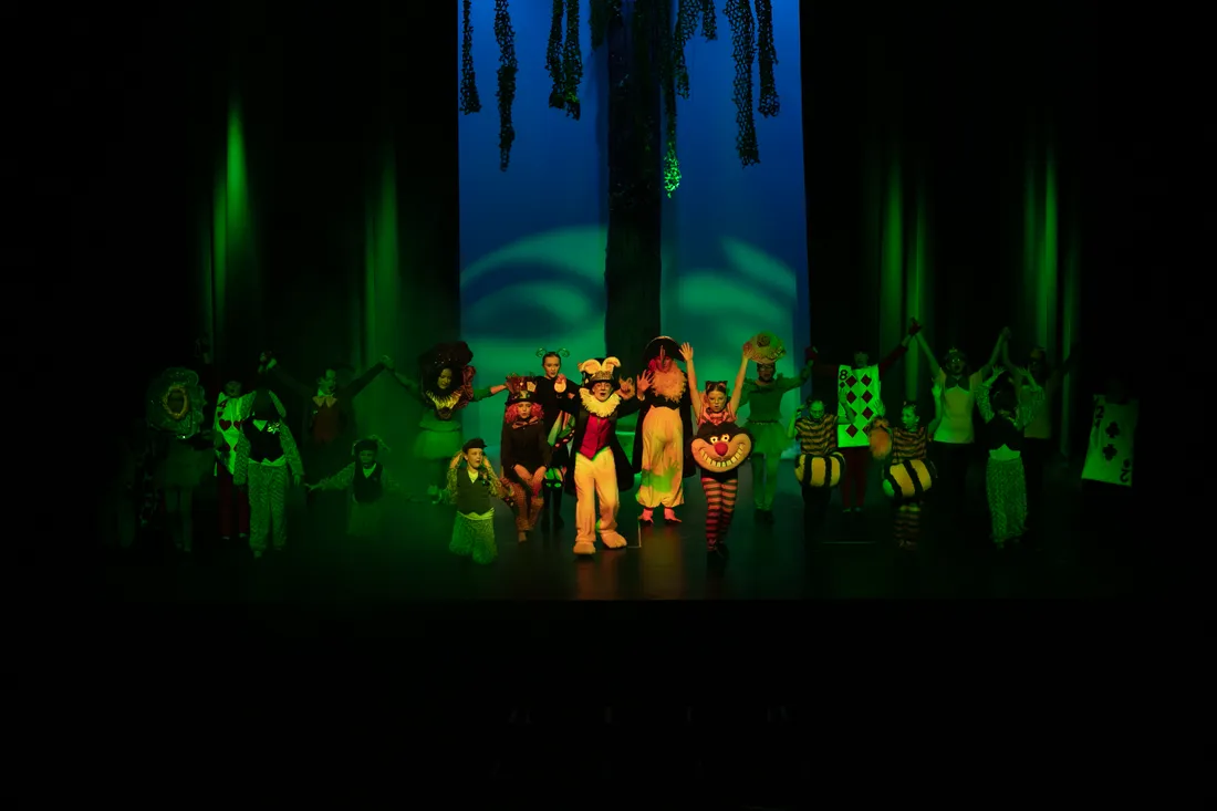 A Harmony Arts cast performing together on stage in costume.