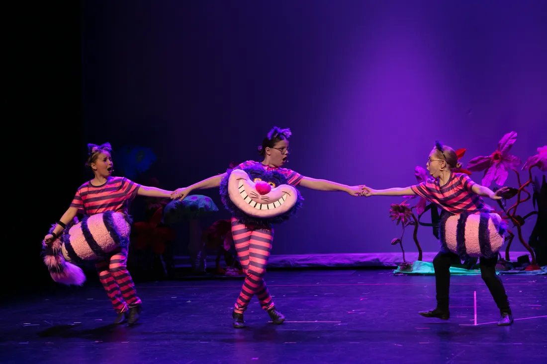 Alice in Wonderland Jr. photo 2