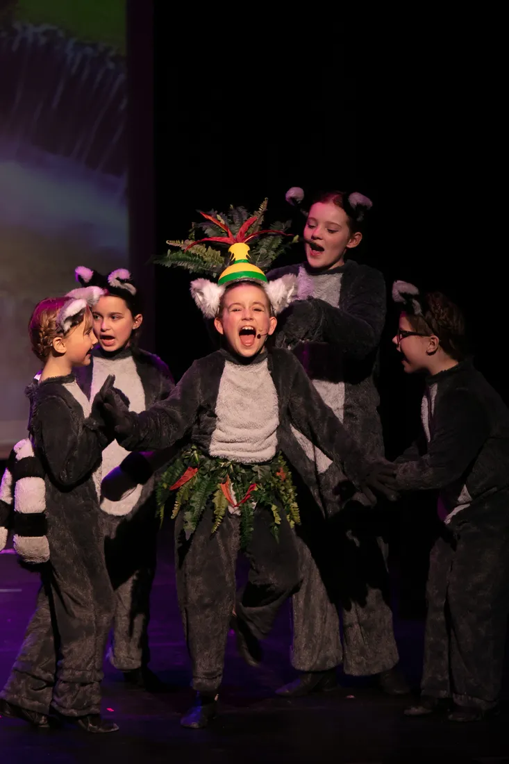 Madagascar: A Musical Adventure Jr. photo 2