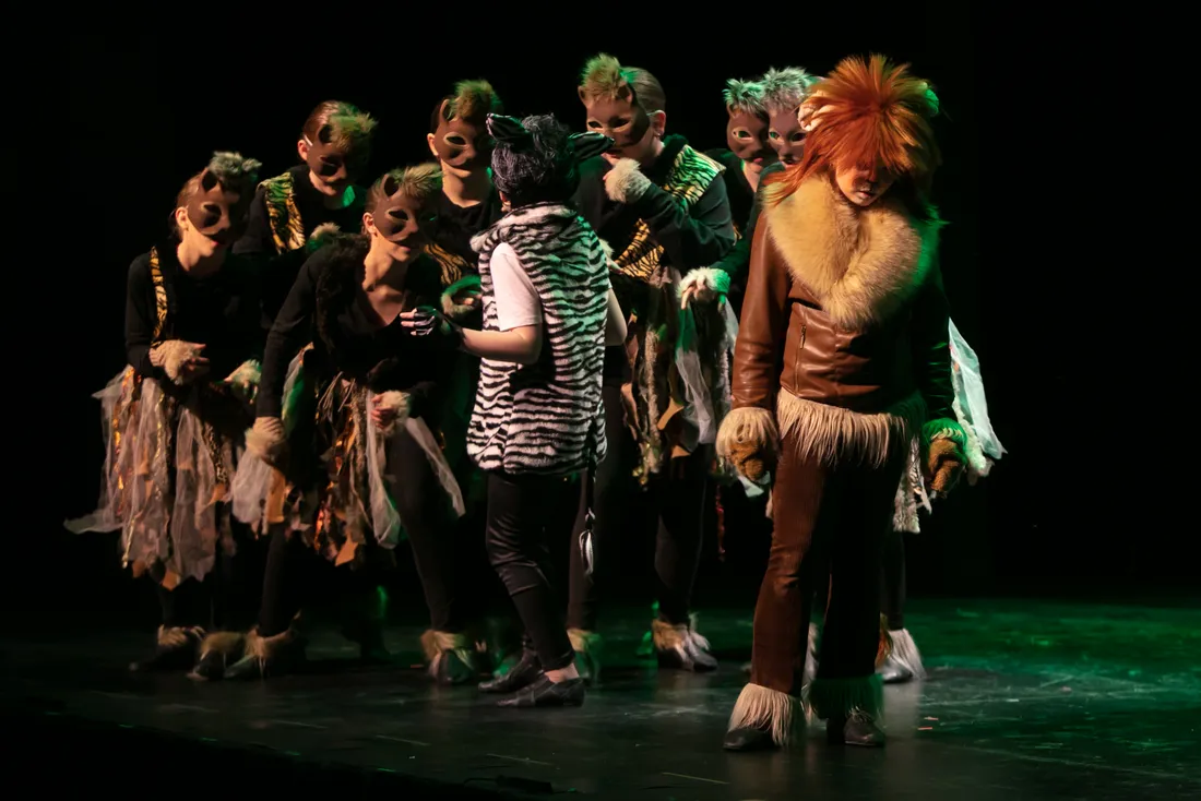 Madagascar: A Musical Adventure Jr. photo 4