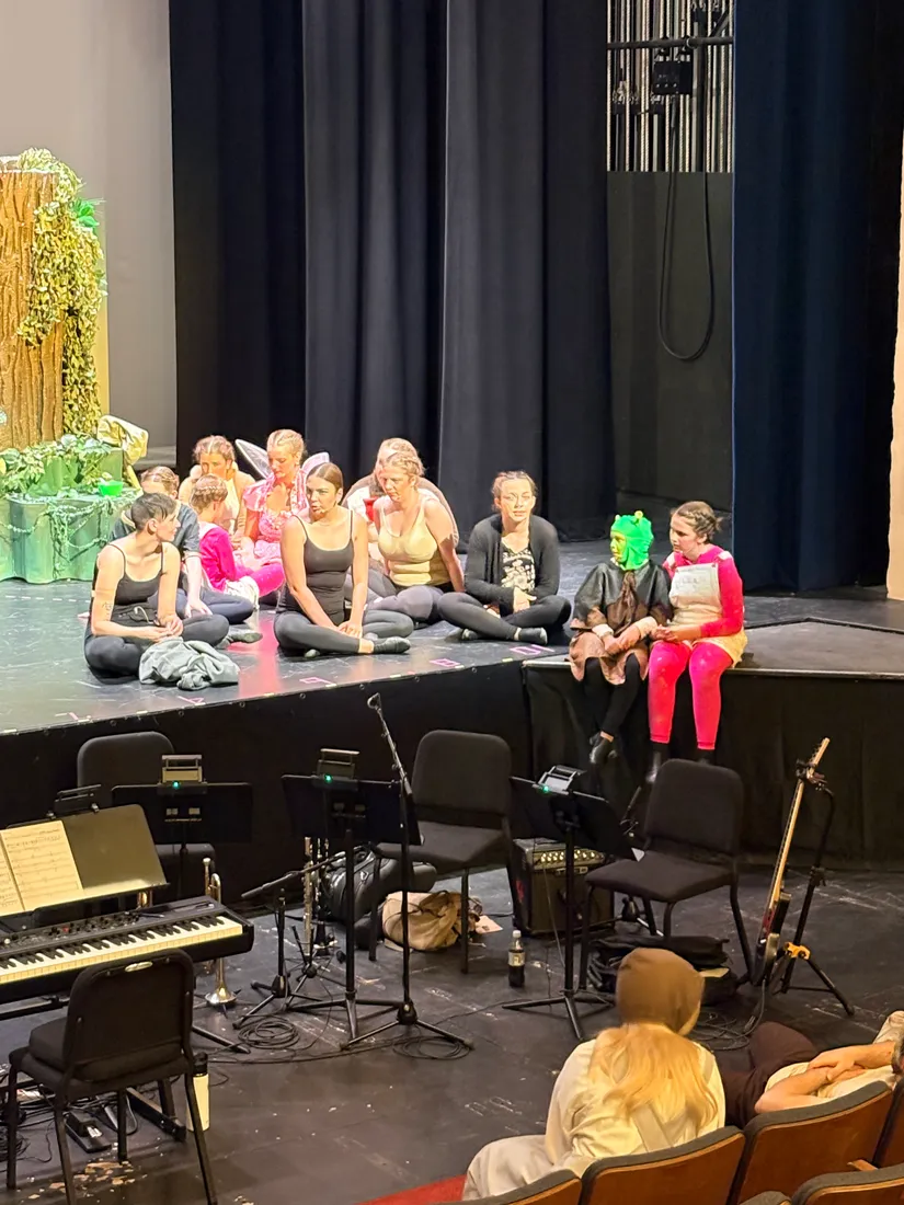 Shrek the Musical photo 3